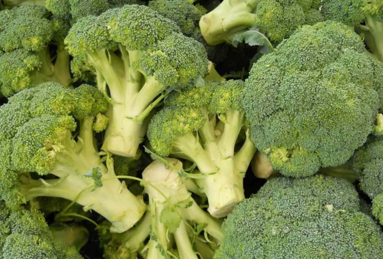 Come cucinare il broccolo per non perdere tutti i nutrienti Immagine selezionata