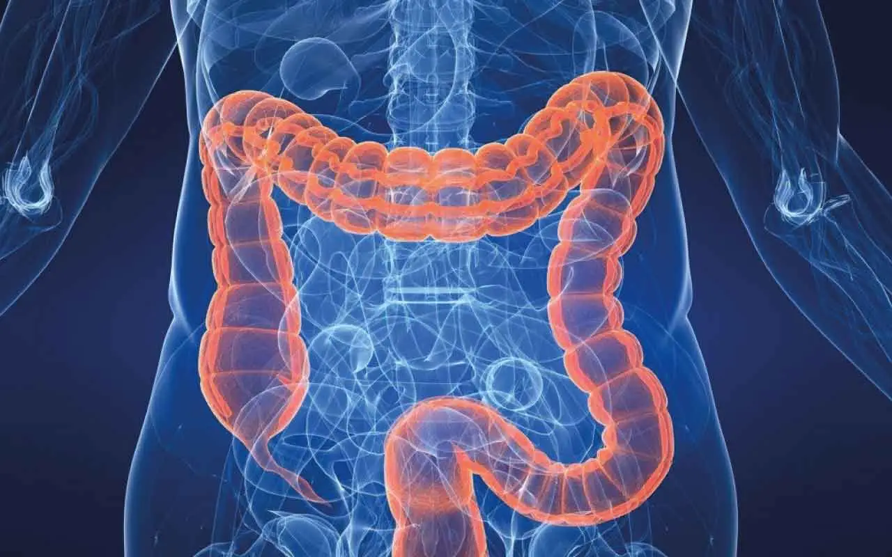 Attenzione: questo cibo comune sta distruggendo il cervello di tutti gli italiani! Immagine selezionata