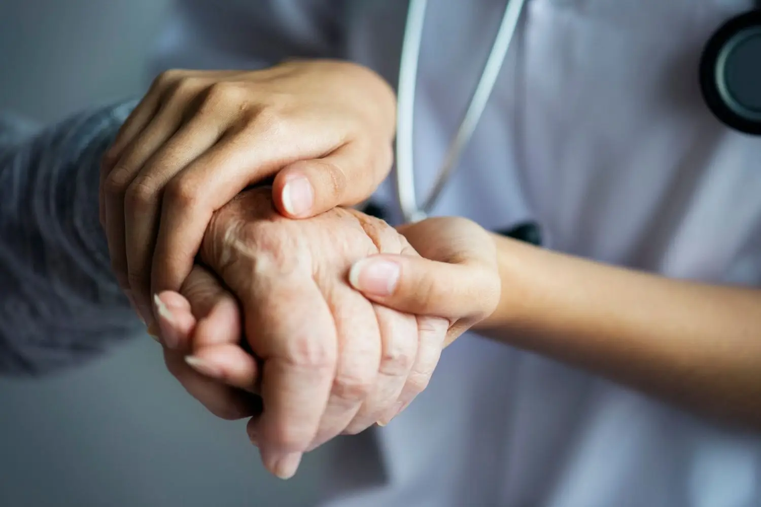 Caos assistenza domiciliare: ecco centinaia di segnalazioni, cosa sta succedendo davvero? Immagine selezionata