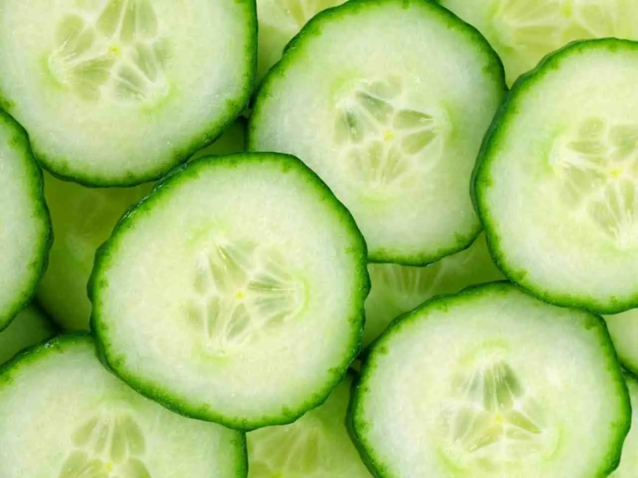 Le 10 piante alleate che fanno crescere i cetrioli più forti e sani Immagine selezionata