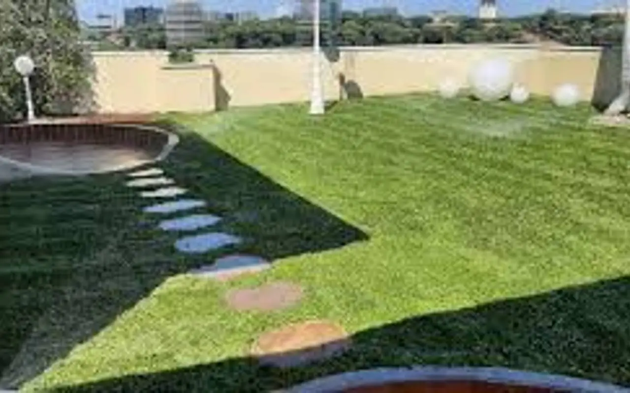 Prato perfetto senza gramigna: tutti i segreti per un giardino impeccabile in primavera