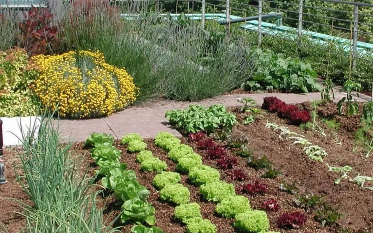 Terra gratis per il tuo orto: ecco il metodo antico che funziona ancora oggi