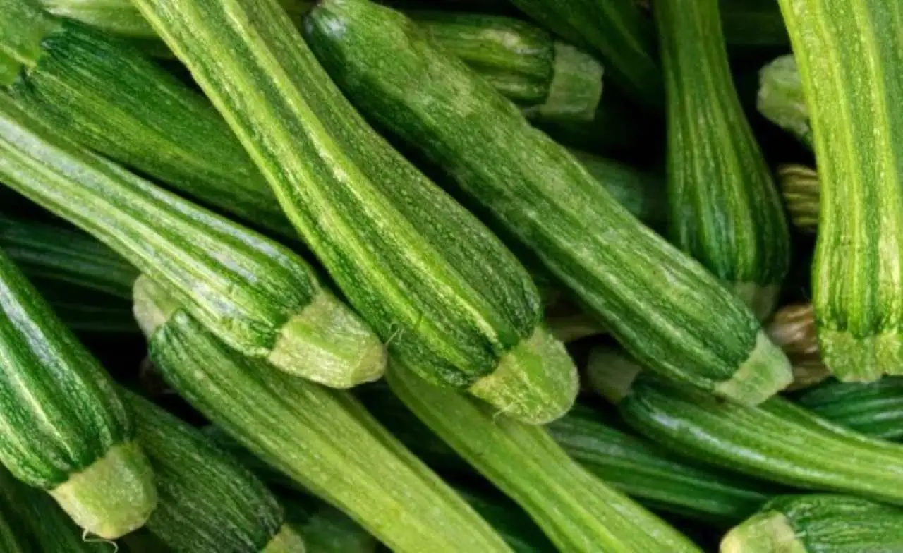 Come ottenere raccolti abbondanti di zucchine a maggio il metodo che fa la differenza nell’orto Immagine selezionata