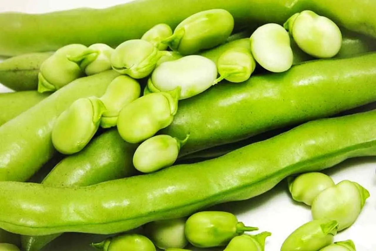 Fave in cucina: ecco gli abbinamenti migliori Immagine selezionata