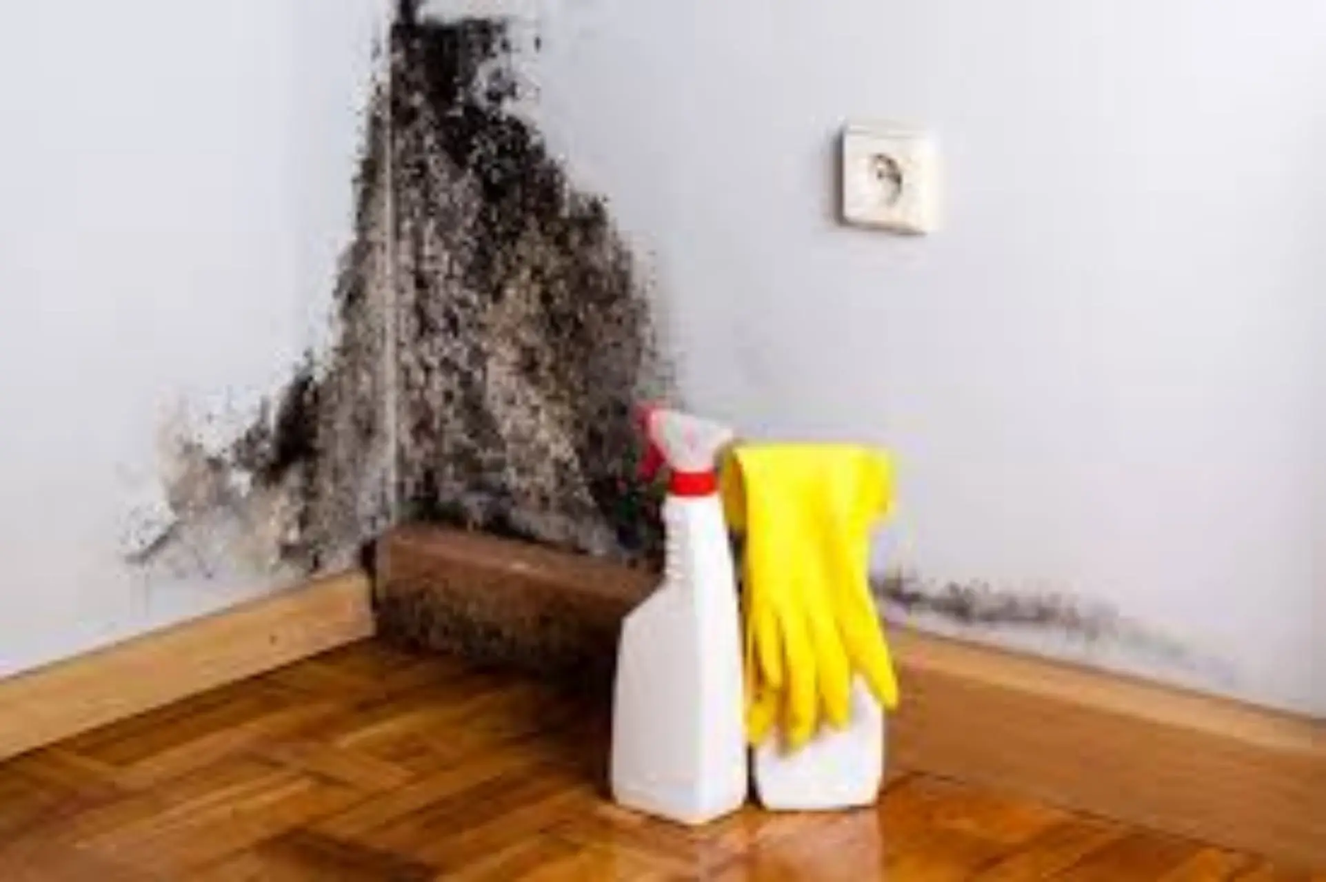 Strategie efficaci per dire addio alla muffa in bagno Immagine selezionata