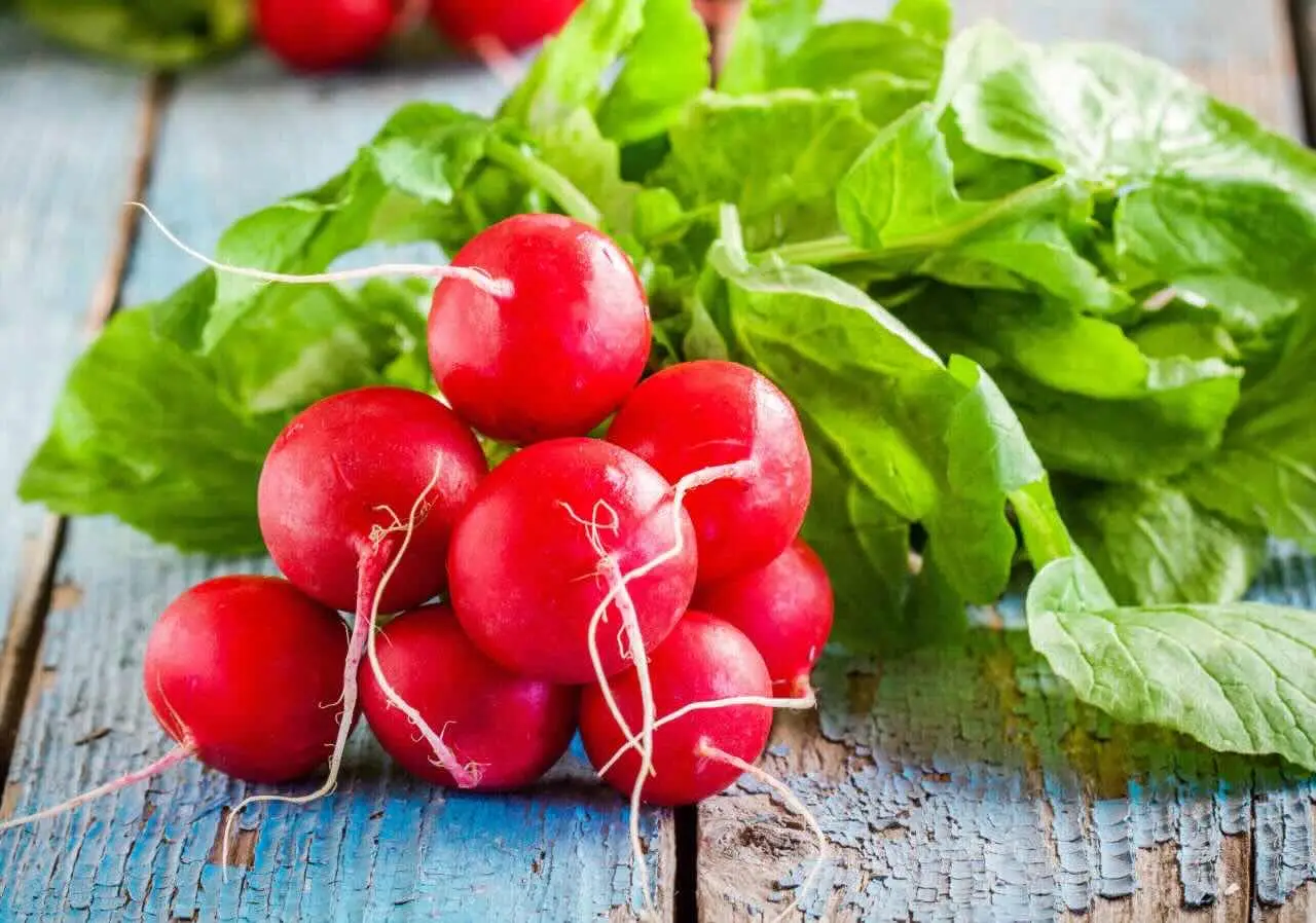 Ecco come mangiare i ravanelli per ottenere il massimo beneficio