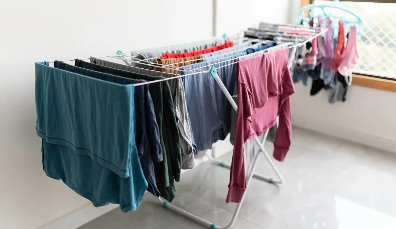 Stendere il bucato nel modo giusto aiuta a evitare cattivi odori Immagine selezionata