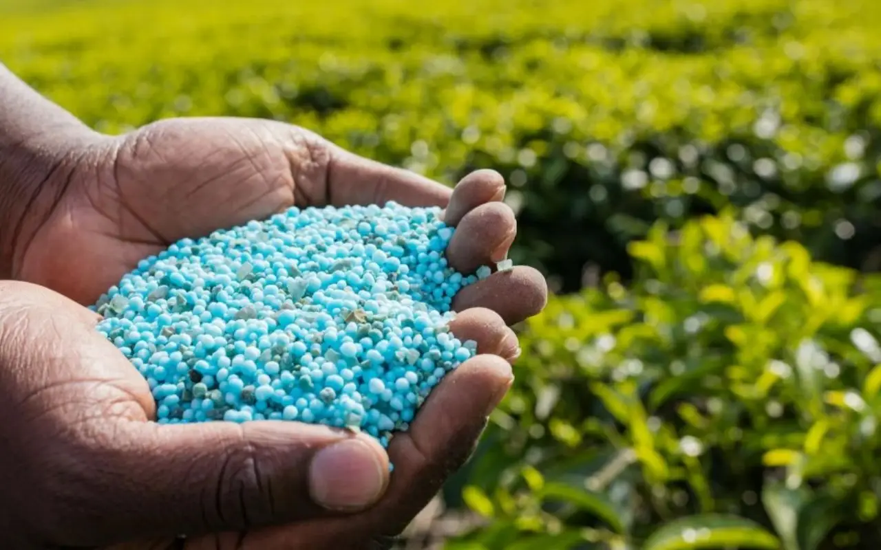 Fertilizzante chimico, sconsigliato l’uso in questo periodo: ecco i motivi Immagine selezionata