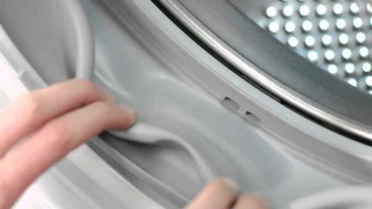 Ecco come pulire la lavatrice con ingredienti naturali Immagine selezionata