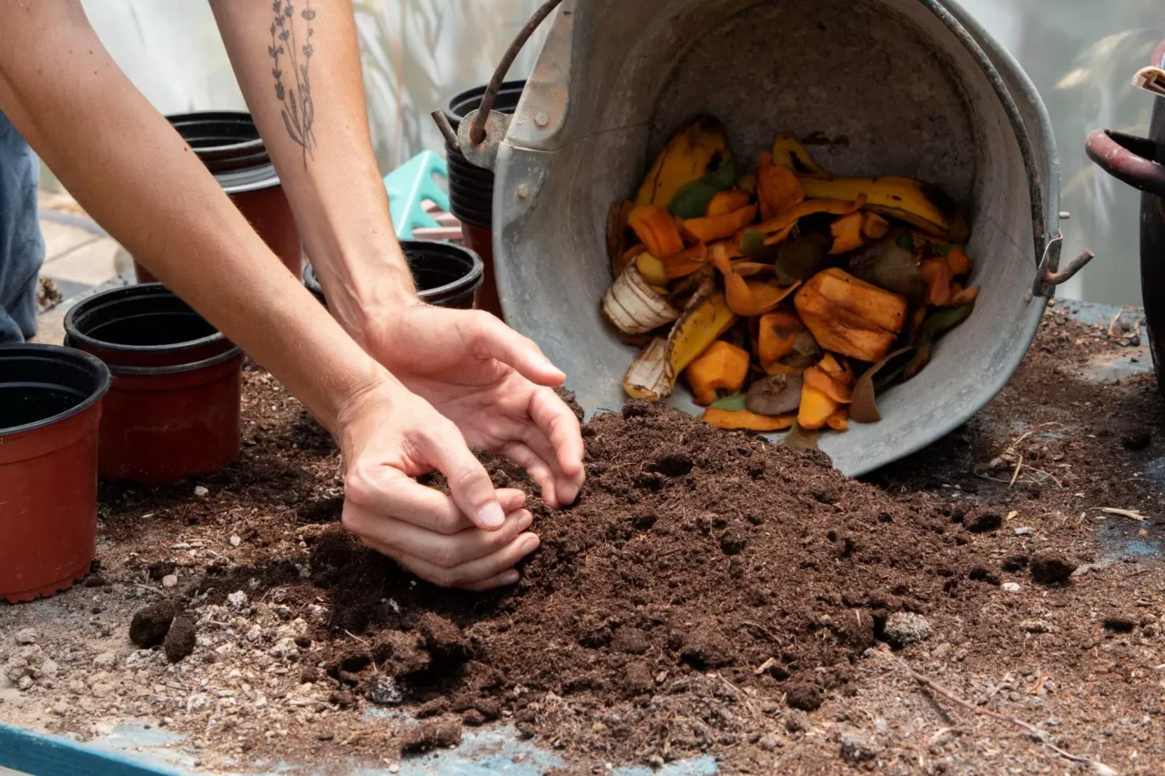 Svelato metodo rivoluzionario per usare le bucce di banana per rinvigorire il tuo giardino Immagine selezionata