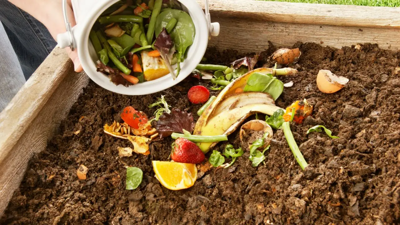Svelato metodo rivoluzionario per usare le bucce di banana per rinvigorire il tuo giardino Immagine selezionata