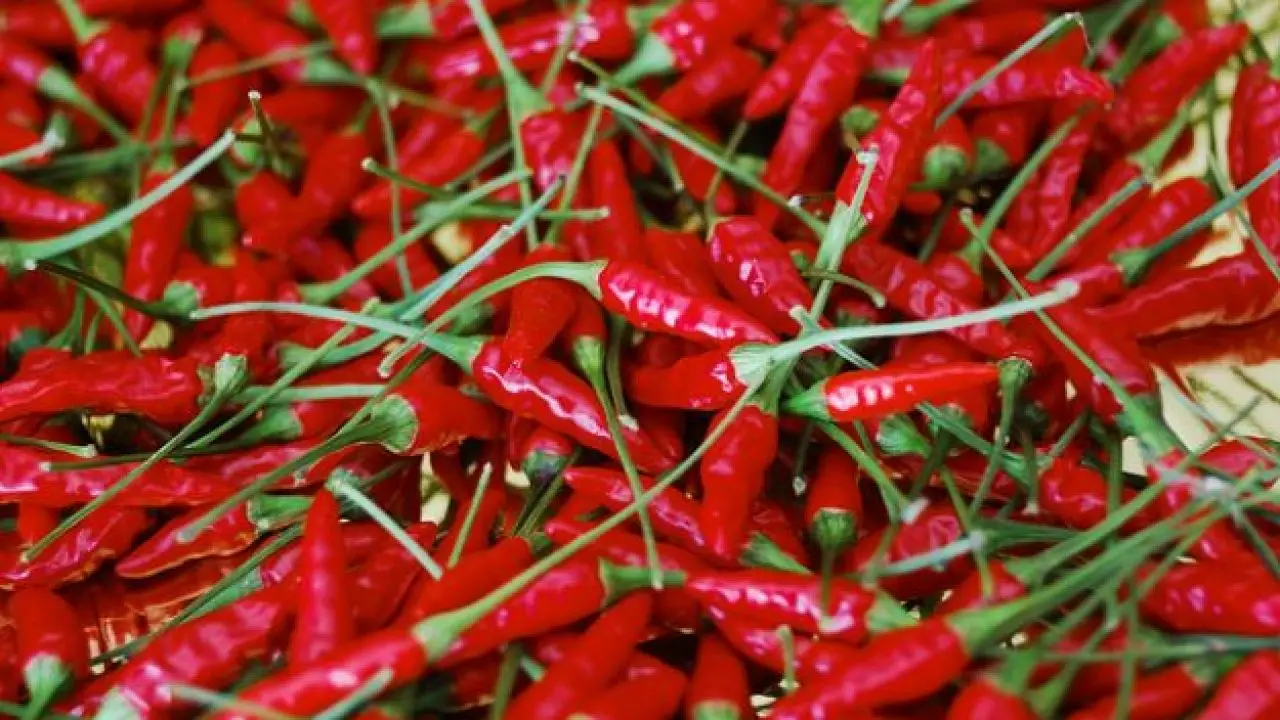 Cibi molto piccanti: possibili rischi per la salute