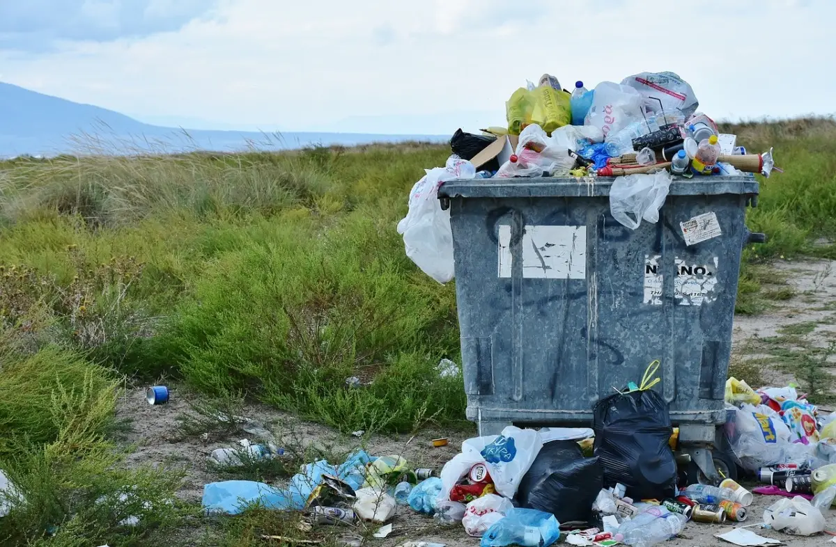 Perché non bisogna tenere i sacchetti della spazzatura troppo a lungo in casa Perché non bisogna tenere i sacchetti della spazzatura troppo a lungo in casa