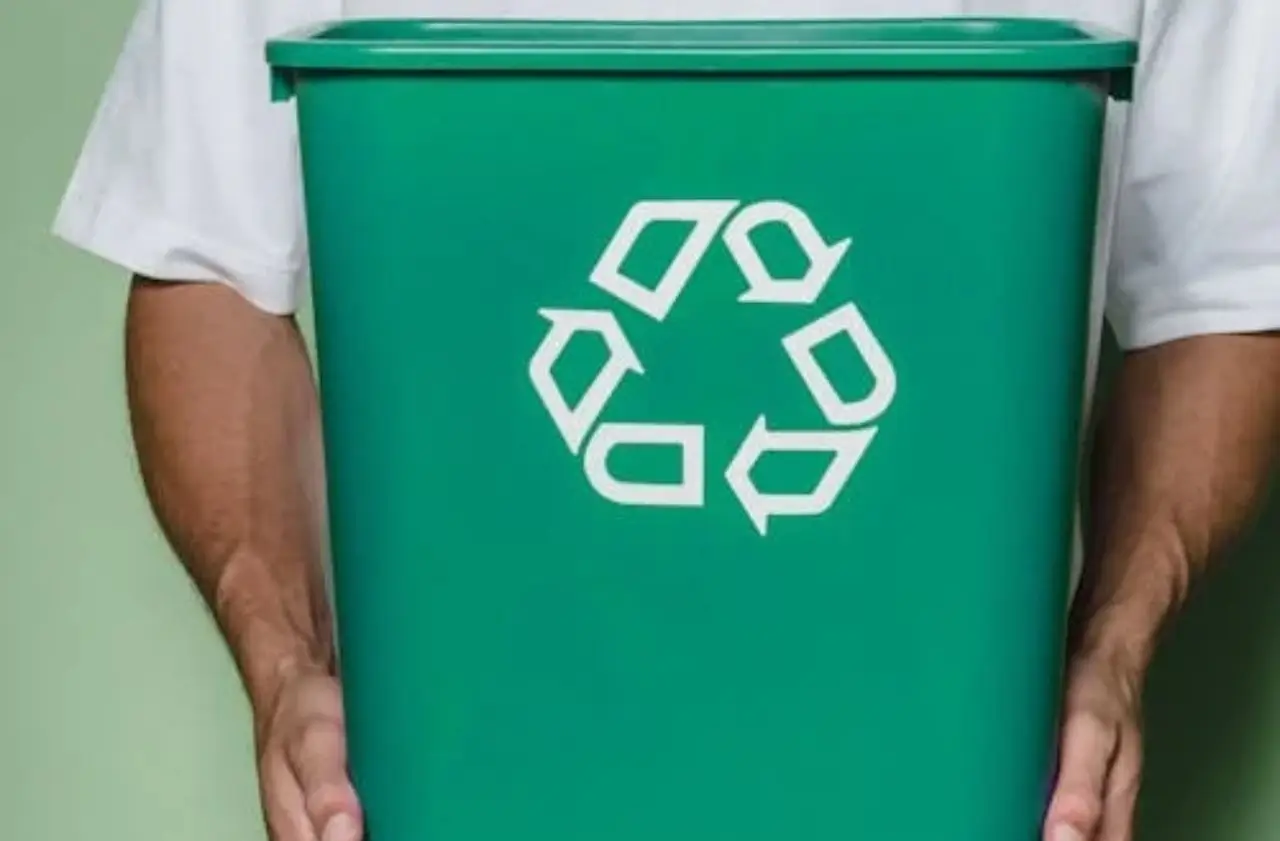 Perché non bisogna tenere i sacchetti della spazzatura troppo a lungo in casa Perché non bisogna tenere i sacchetti della spazzatura troppo a lungo in casa