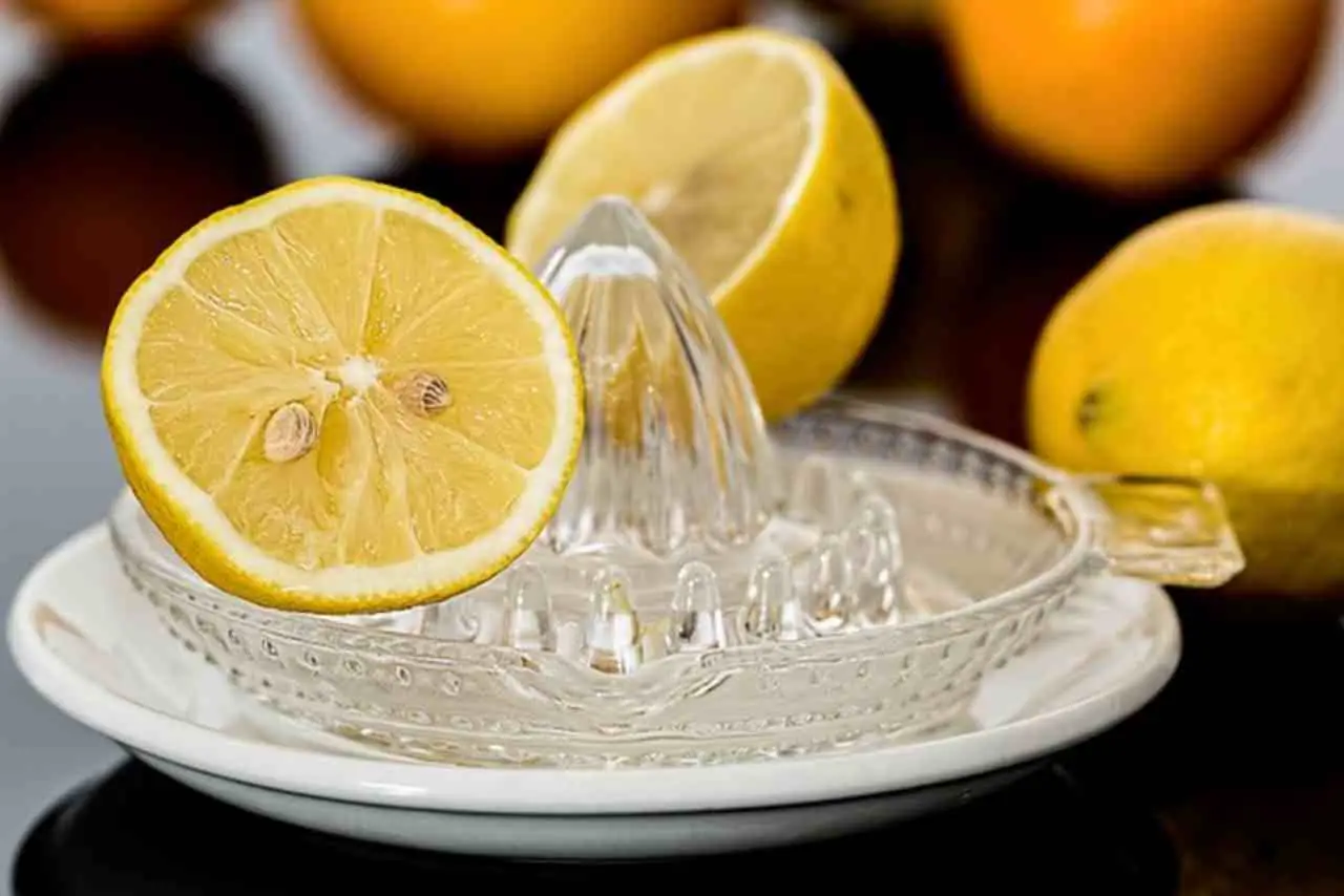 Lavare il frullatore senza smontarlo: favorisce la formazione di muffa Lavare il frullatore senza smontarlo: favorisce la formazione di muffa