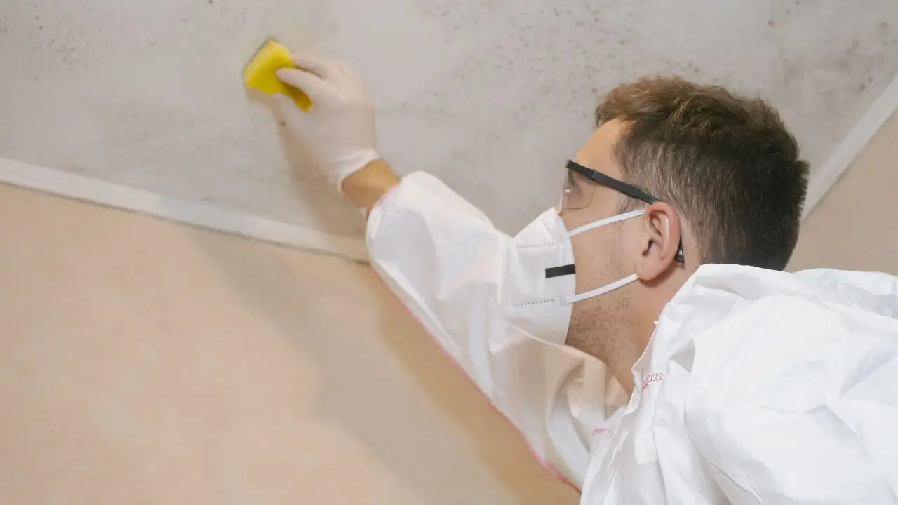 Pulire il soffitto in sicurezza: consigli per proteggere la schiena Pulire il soffitto in sicurezza: consigli per proteggere la schiena